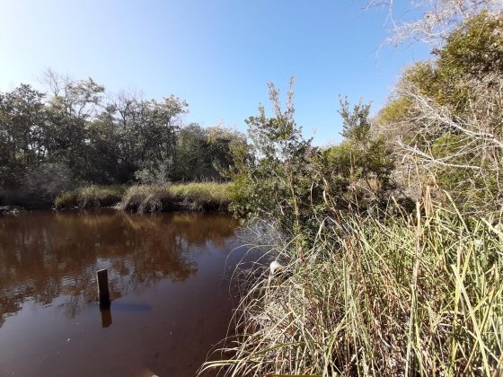 Freeport, Florida 32439, ,Land,For Sale,Waterview Cove Drive,845668