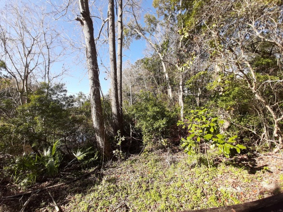 Freeport, Florida 32439, ,Land,For Sale,Waterview Cove Drive,845668