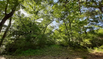 Freeport, Florida 32439, ,Land,For Sale,Waterview Cove Drive,845668