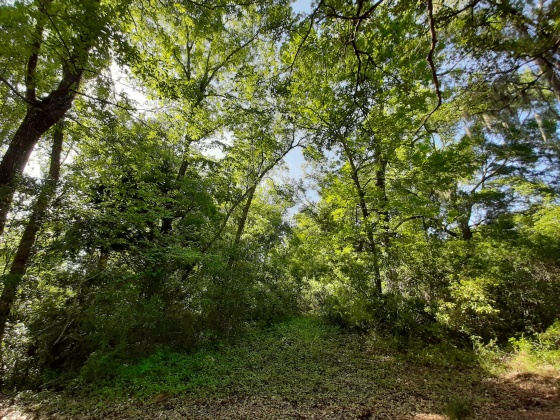 Freeport, Florida 32439, ,Land,For Sale,Waterview Cove Drive,845668