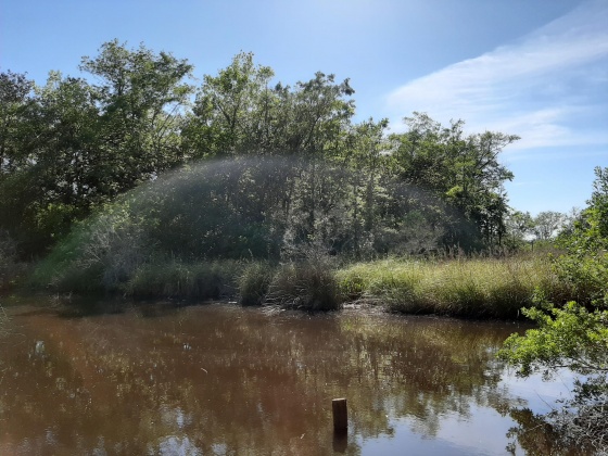 Freeport, Florida 32439, ,Land,For Sale,Waterview Cove Drive,845668