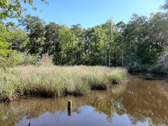 Freeport, Florida 32439, ,Land,For Sale,Waterview Cove Drive,845668