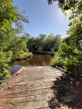 Freeport, Florida 32439, ,Land,For Sale,Waterview Cove Drive,845668