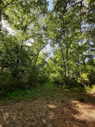 Freeport, Florida 32439, ,Land,For Sale,Waterview Cove Drive,845668