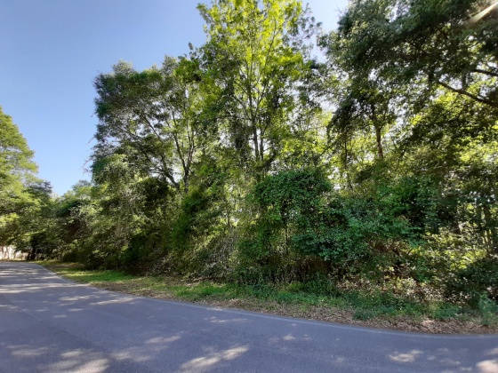Freeport, Florida 32439, ,Land,For Sale,Waterview Cove Drive,845668