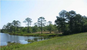 Defuniak Springs, Florida 32433, ,Land,For Sale,Magnolia Lake,457086