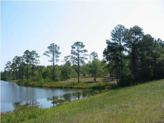 Defuniak Springs, Florida 32433, ,Land,For Sale,Magnolia Lake,457086