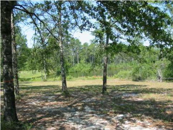 Defuniak Springs, Florida 32433, ,Land,For Sale,Magnolia Lake,457086