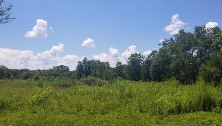 Address not available!, ,Land,For Sale,846284