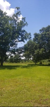 Address not available!, ,Land,For Sale,846284