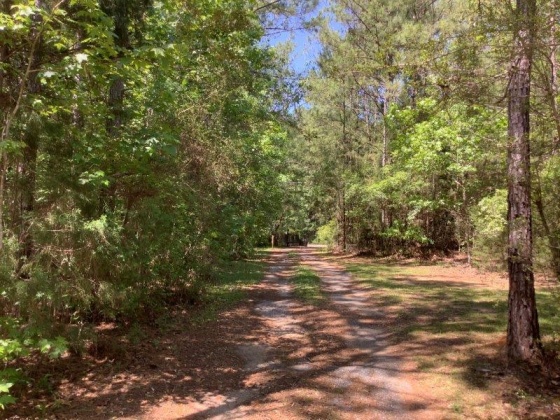 Ponce De Leon, Florida 32455, 3 Bedrooms Bedrooms, ,2 BathroomsBathrooms,Residential,For Sale,FL-81,846609