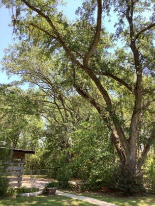 Ponce De Leon, Florida 32455, 3 Bedrooms Bedrooms, ,2 BathroomsBathrooms,Residential,For Sale,FL-81,846609