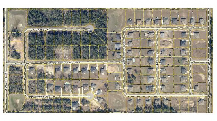 Crestview, Florida 32536, ,Land,For Sale,Brickhill,817605