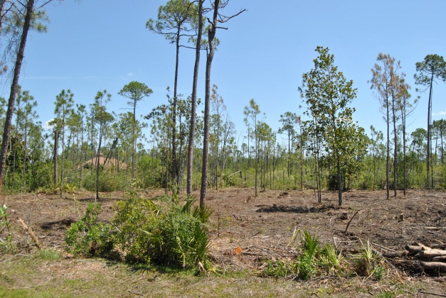 Panama City, Florida 32404, ,Land,For Sale,Vista Del Sol,847323