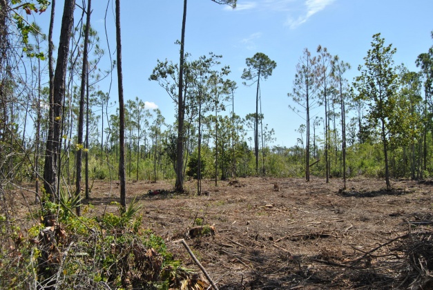 Panama City, Florida 32404, ,Land,For Sale,Vista Del Sol,847323