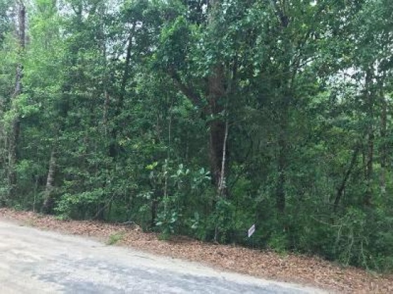 Ponce De Leon, Florida 32455, ,Land,For Sale,B H Reddick,847375