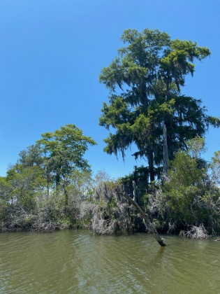 Santa Rosa Beach, Florida 32459, ,Land,For Sale,Part of Atzberger Island,846806