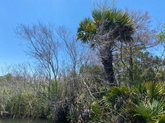 Santa Rosa Beach, Florida 32459, ,Land,For Sale,Part of Atzberger Island,846806