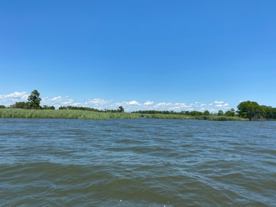 Santa Rosa Beach, Florida 32459, ,Land,For Sale,Part of Atzberger Island,846806