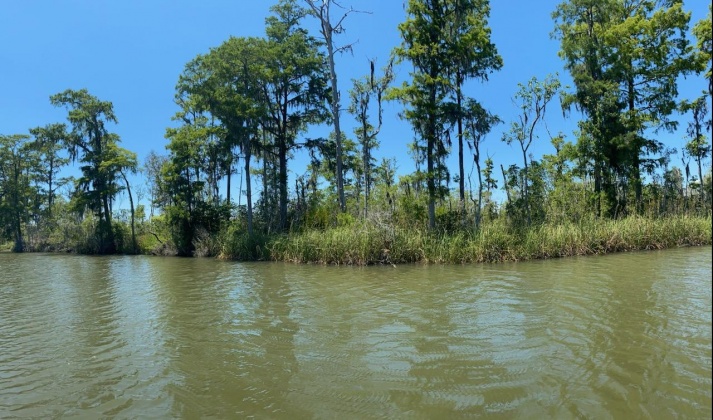 Santa Rosa Beach, Florida 32459, ,Land,For Sale,Part of Atzberger Island,846806