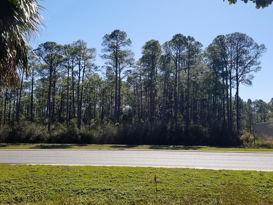 Santa Rosa Beach, Florida 32459, ,Commercial for Sale,For Sale,Hwy 98,822402