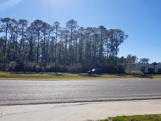 Santa Rosa Beach, Florida 32459, ,Land,For Sale,Hwy 98,822404
