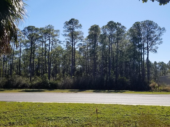Santa Rosa Beach, Florida 32459, ,Land,For Sale,Hwy 98,822404