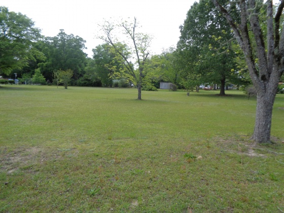 Laurel Hill, Florida 32567, 3 Bedrooms Bedrooms, ,1 BathroomBathrooms,Residential,For Sale,Us Highway 331,795771