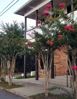 Pensacola, Florida 32501, 5 Bedrooms Bedrooms, ,4 BathroomsBathrooms,Residential,For Sale,DeVilliers,846674