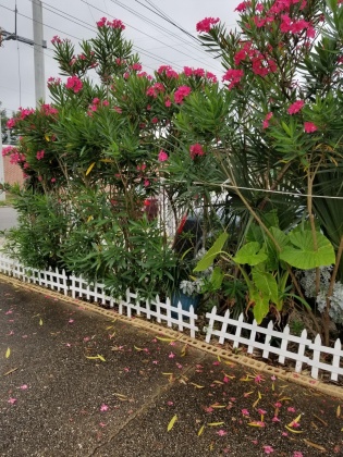 Pensacola, Florida 32501, 5 Bedrooms Bedrooms, ,4 BathroomsBathrooms,Residential,For Sale,DeVilliers,846674