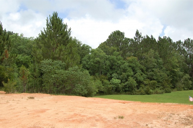 Milton, Florida 32583, ,Land,For Sale,New Bridge Castle,848314