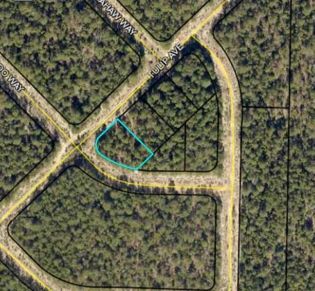 Crestview, Florida 32539, ,Land,For Sale,Tulip,848915