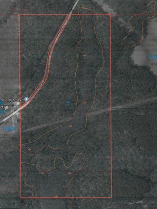 Other, Alabama N/A, ,Land,For Sale,Wedsel,849000