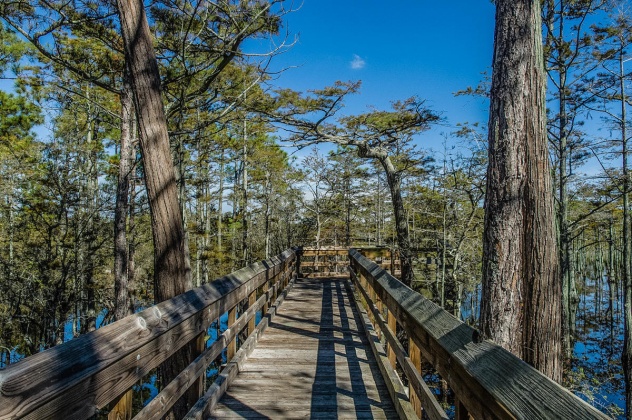 Santa Rosa Beach, Florida 32459, ,Land,For Sale,Cypress,849052
