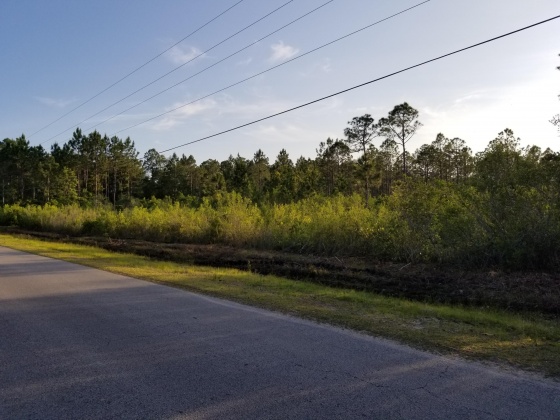 Santa Rosa Beach, Florida 32459, ,Land,For Sale,Harstvedt,821441