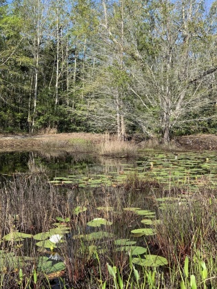 Freeport, Florida 32439, ,Land,For Sale,Harbour,849145