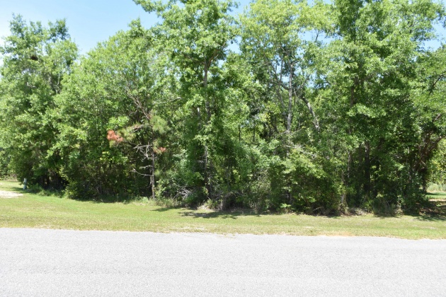 Freeport, Florida 32439, ,Land,For Sale,Harbour,849145