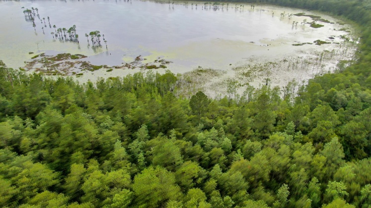 Bonifay, Florida 32425, ,Land,For Sale,WAUKESHA,849541