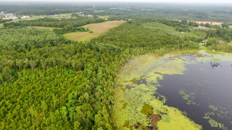 Bonifay, Florida 32425, ,Land,For Sale,WAUKESHA,849541