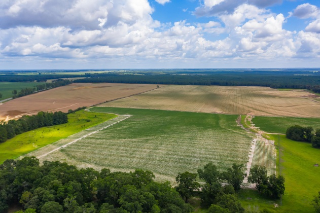 Jay, Florida 32565, ,Commercial for Sale,For Sale,Highway 178,850131