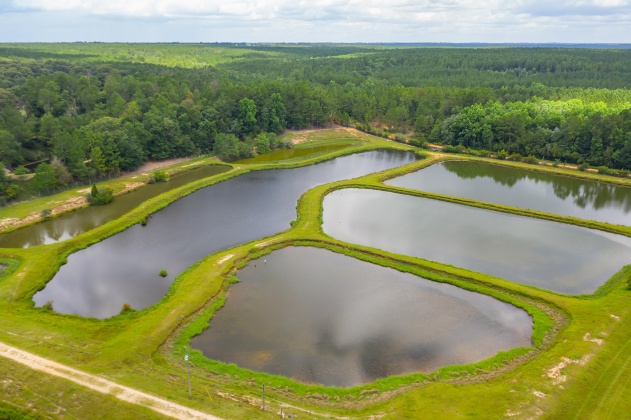 Jay, Florida 32565, ,Commercial for Sale,For Sale,Highway 178,850131