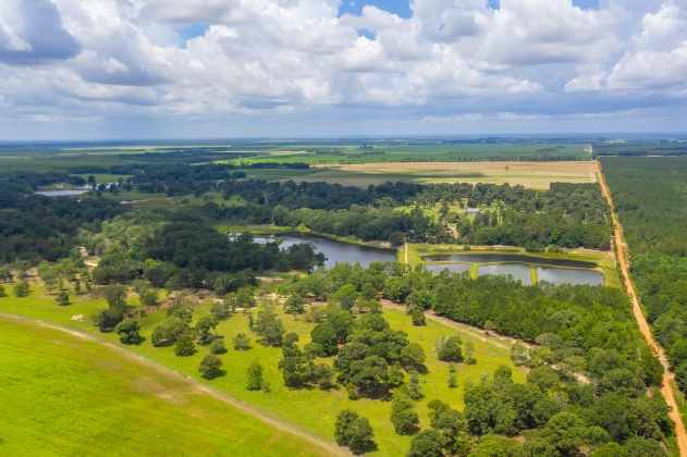 Jay, Florida 32565, ,Commercial for Sale,For Sale,Highway 178,850131