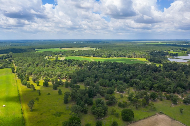 Jay, Florida 32565, ,Commercial for Sale,For Sale,Highway 178,850131