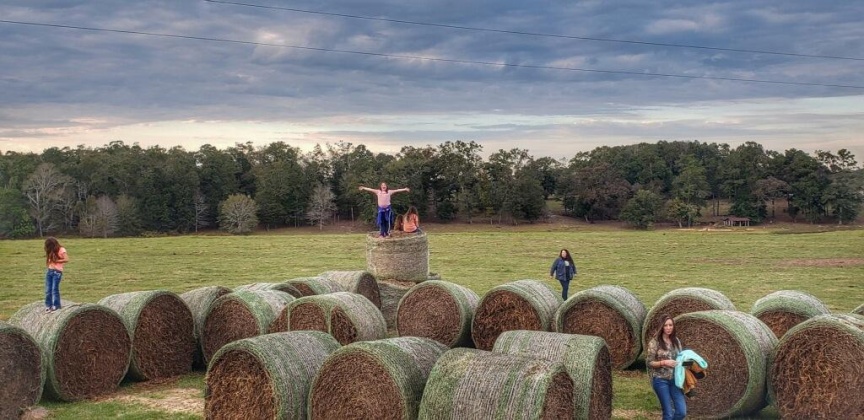 Jay, Florida 32565, ,Commercial for Sale,For Sale,Highway 178,850131