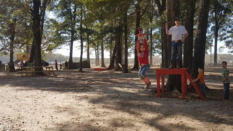 Jay, Florida 32565, ,Commercial for Sale,For Sale,Highway 178,850131