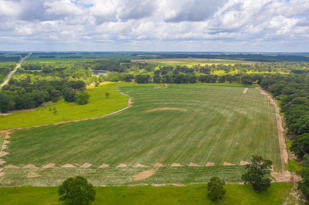 Jay, Florida 32565, ,Commercial for Sale,For Sale,Highway 178,850131