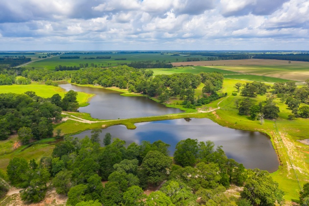 Jay, Florida 32565, ,Commercial for Sale,For Sale,Highway 178,850131