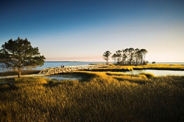 Panama City, Florida 32413, ,Land,For Sale,Coastal Hammock,851263