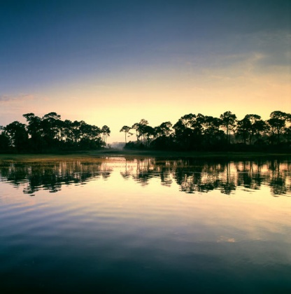 Panama City, Florida 32413, ,Land,For Sale,Coastal Hammock,851263