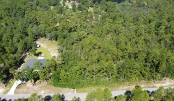 Crestview, Florida 32539, ,Land,For Sale,Possum Ridge,851410